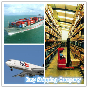 Consolidate Shipping Agent/ Consolidattor in Local China